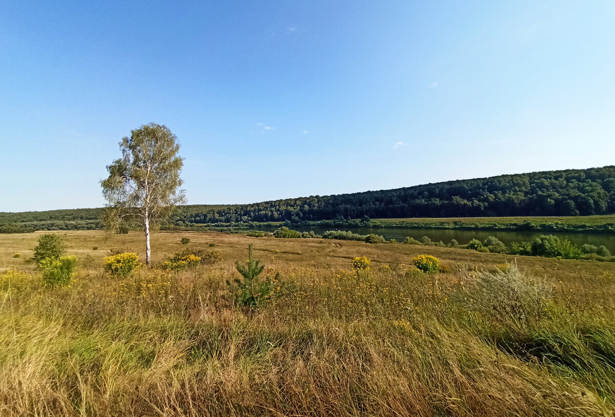 Кольцовские пещеры в калужской области фото