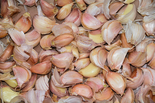 Фото : Getty Images 