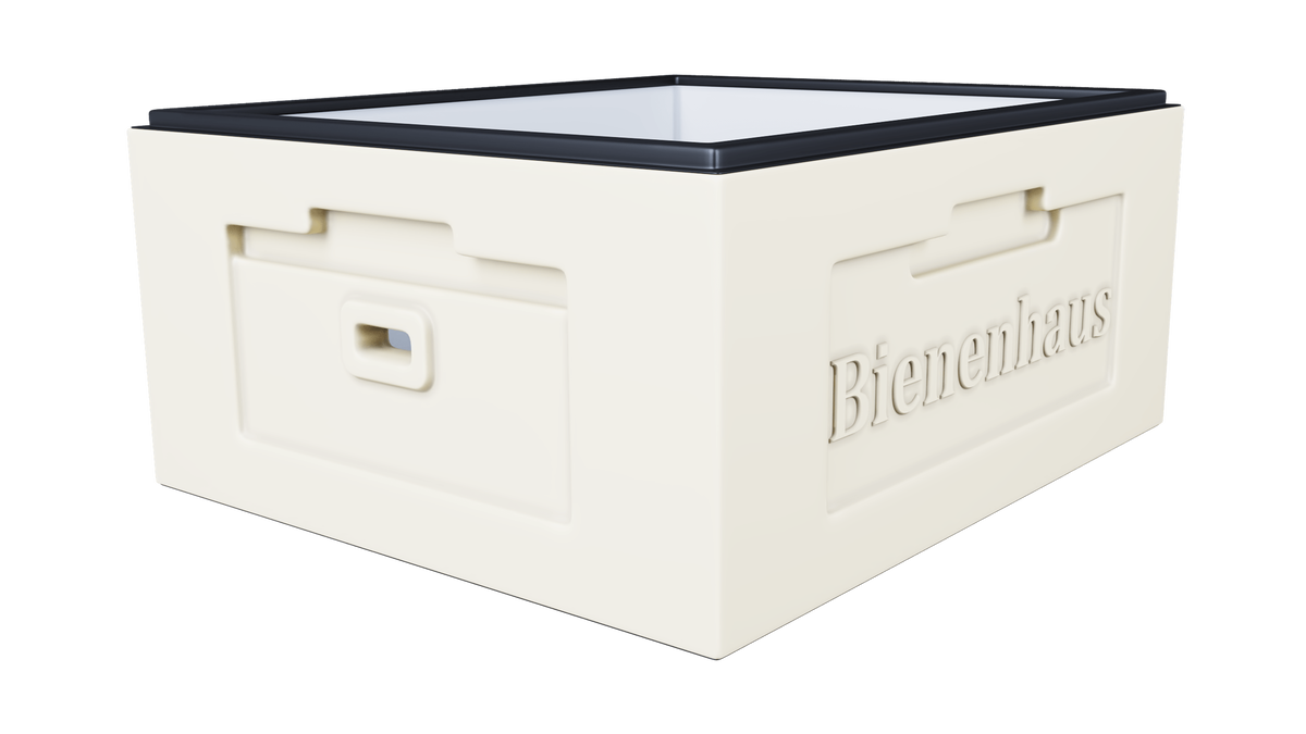 рутовский корпус биненхаус