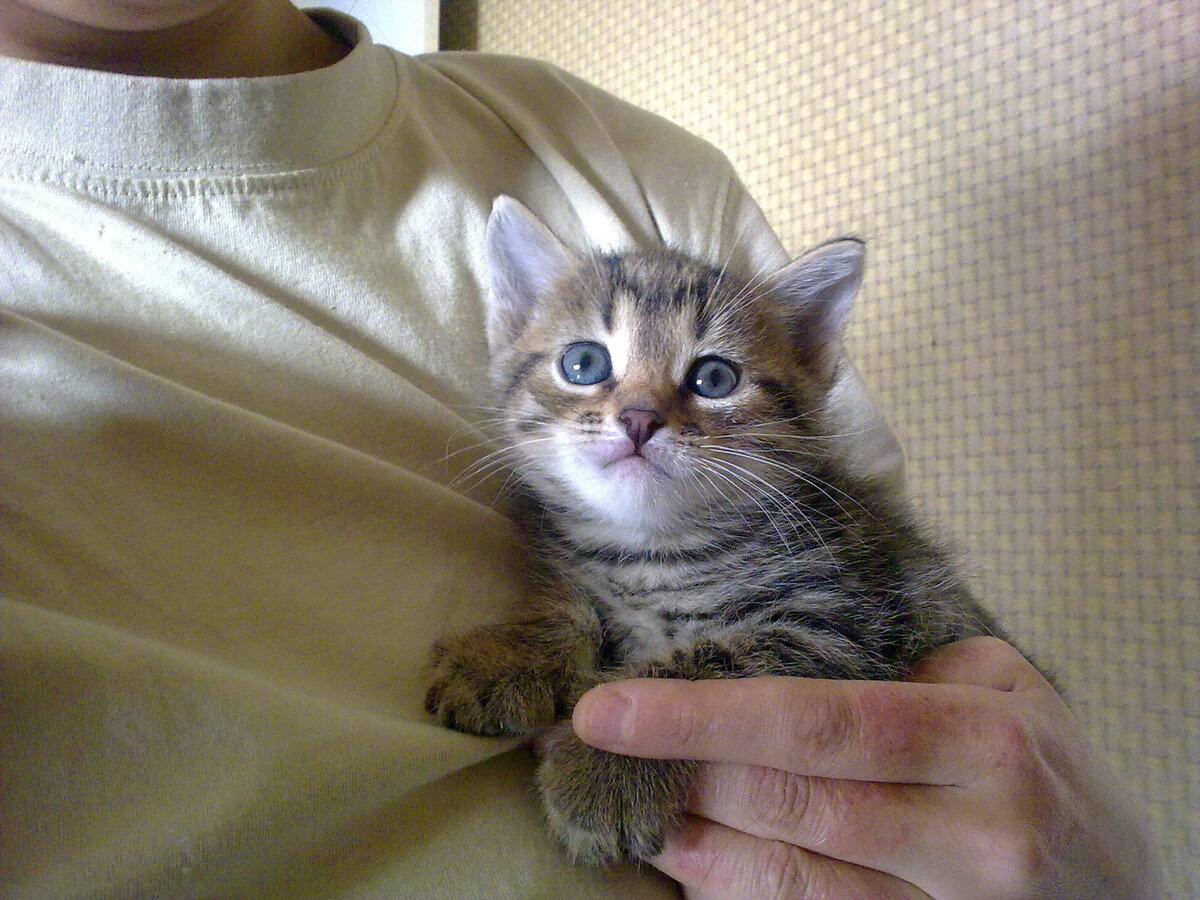 Ну ведь лапочка?