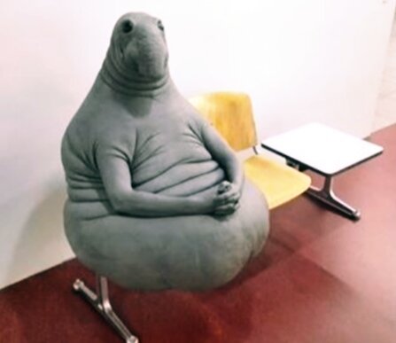 Источник фотографии: свободный доступ