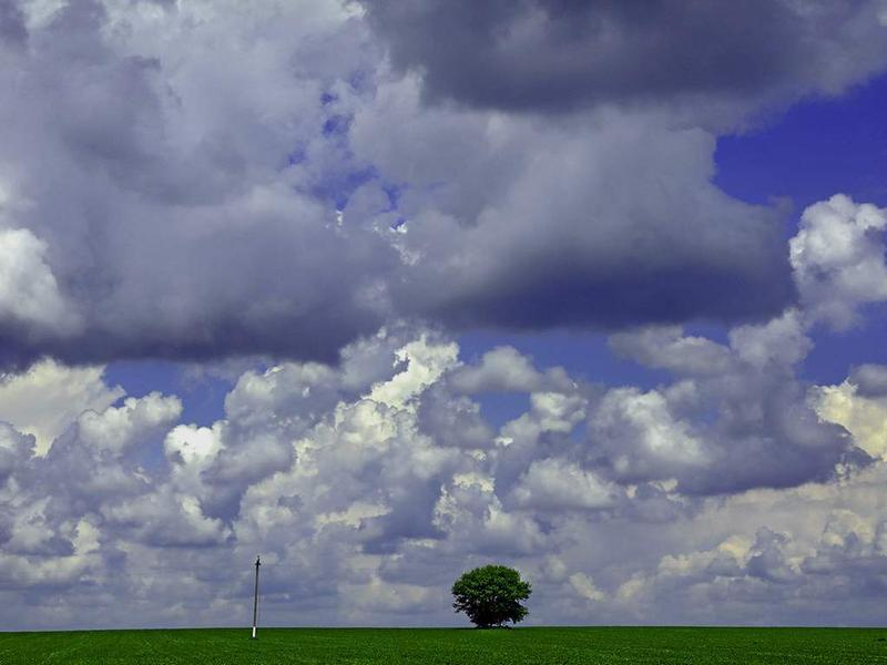 Xx cloud. День наблюдения за облаками 19 июня. Облака Нижнего яруса. Бегущие облака. Облачность Нижнего яруса.