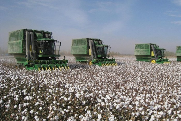 Источник фото: dividends.nuz.uz