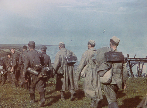 Добровольные помощники.