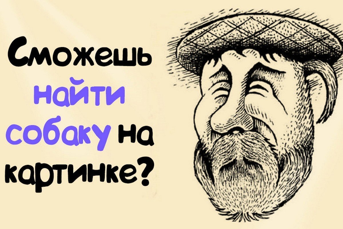 На рисунке к первому заданию красуется пожилой мужчина в кепке. И оказывается, что на этом рисунке также есть собака. Однако найти животное получается лишь у очень малого количества людей. Присмотрись хорошенечко к этому джентльмену, чтобы понять, где же тут сидит это хвостатое существо. И что оно делает?