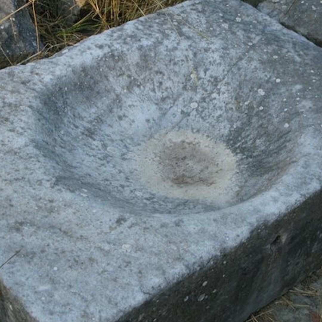 Первые раковины