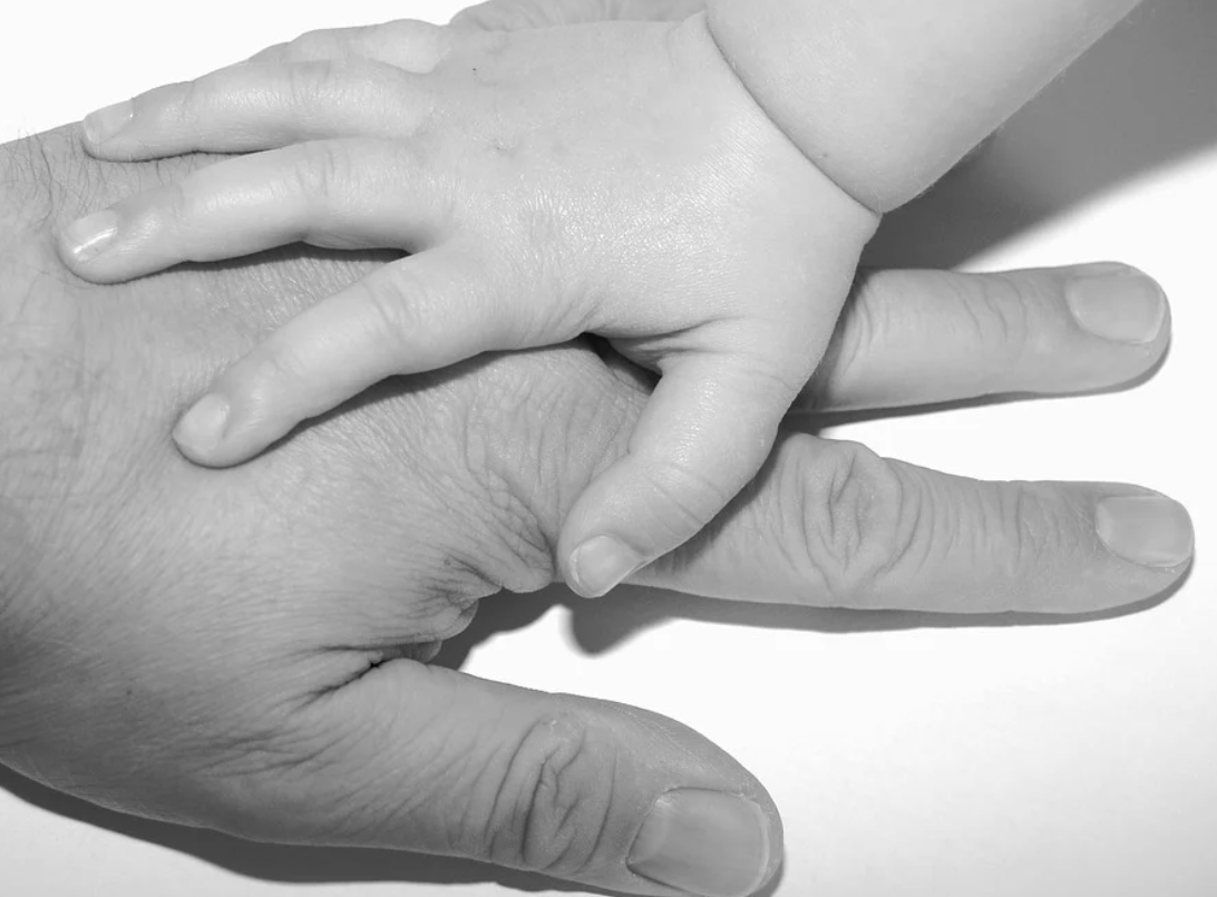 Доверие к миру закладывается в детстве. фото с сайта https://pixabay.com