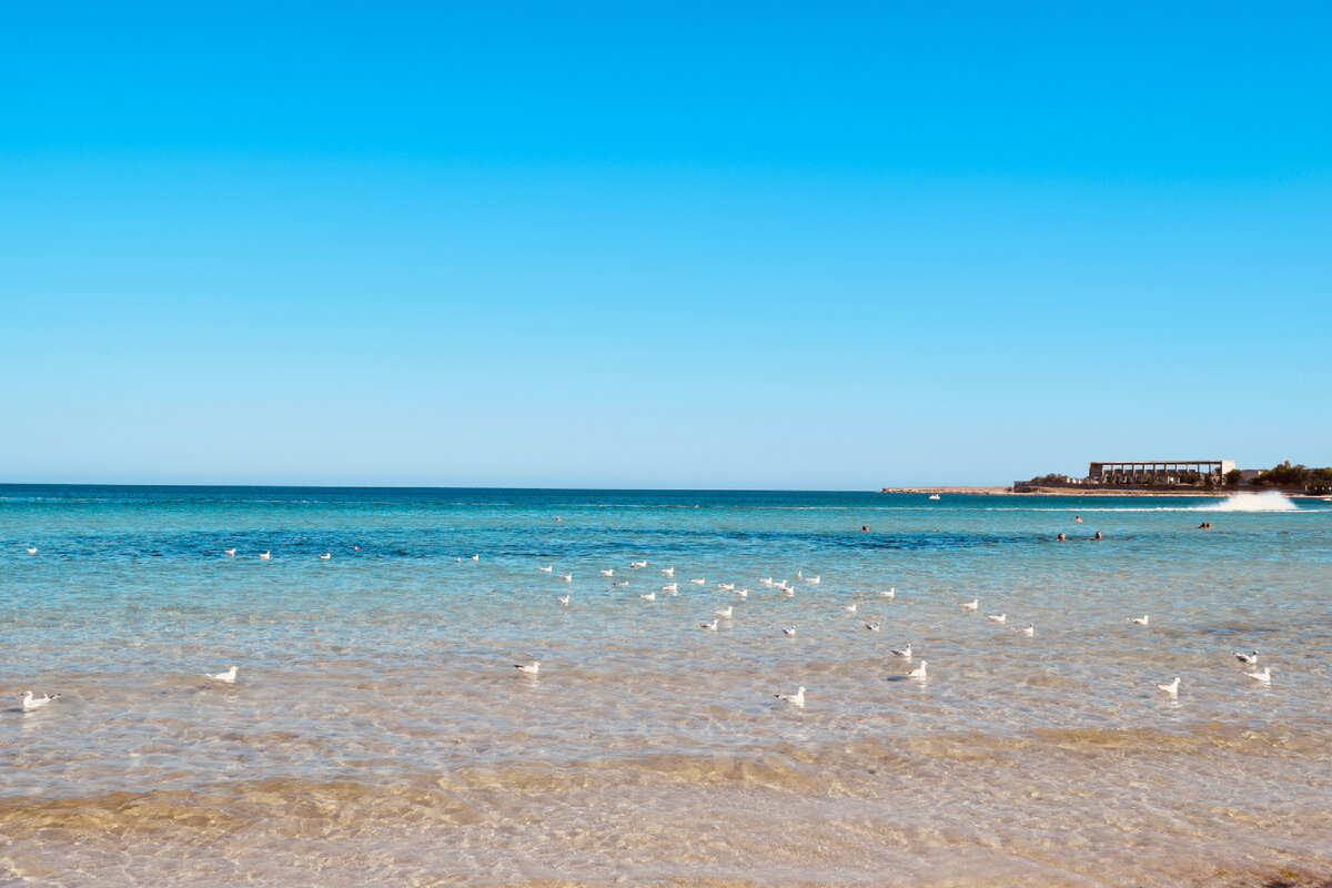 Фото из личного архива