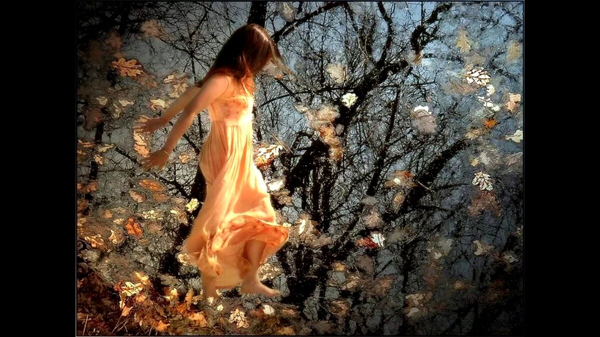 Картинка из свободных источников