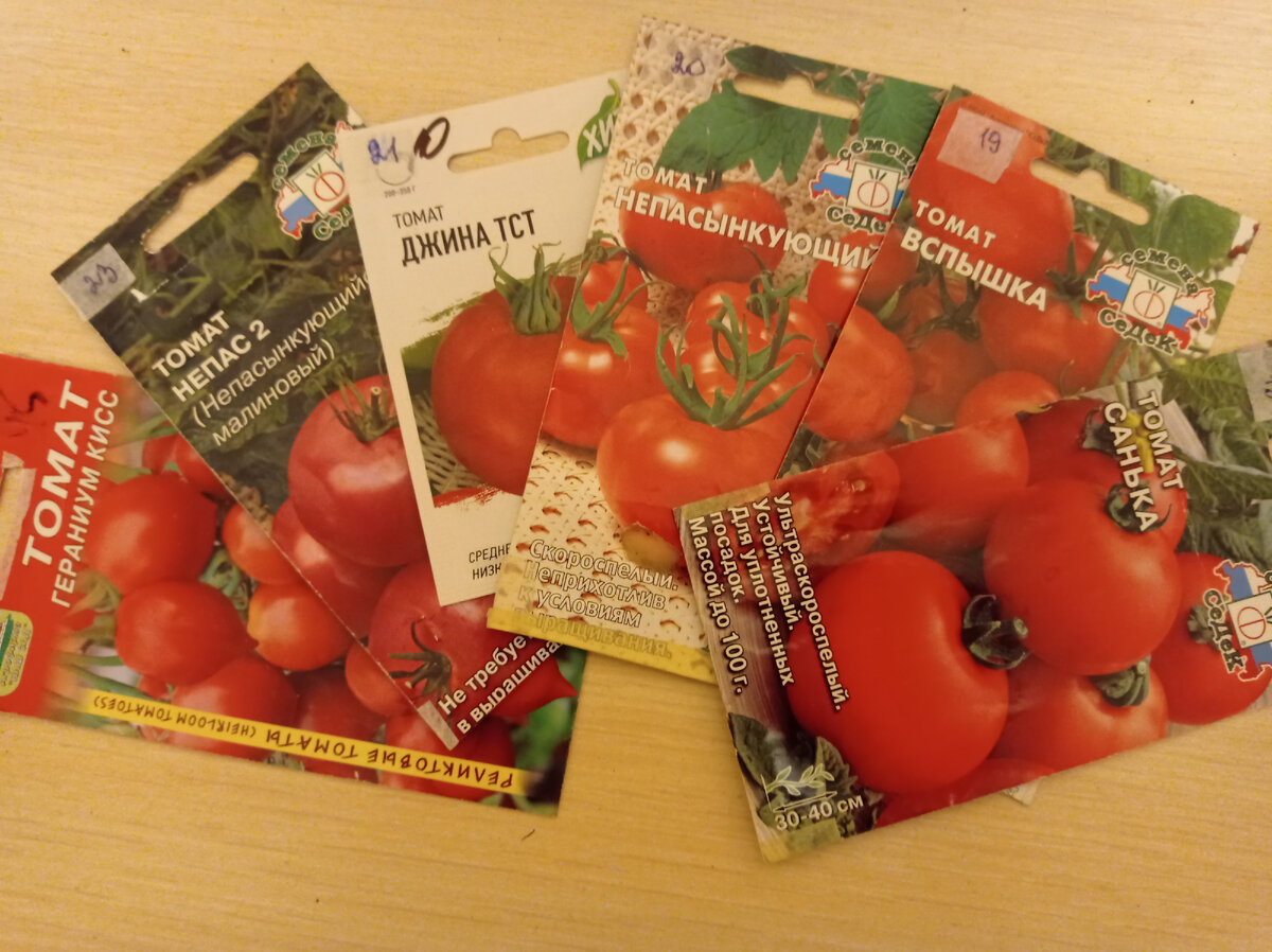 Вот они семена низкорослых томатов