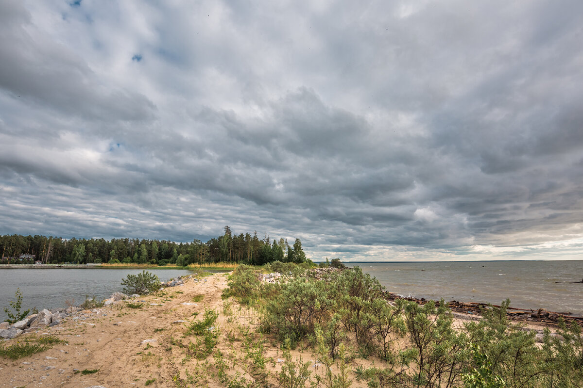 Бердск обское море