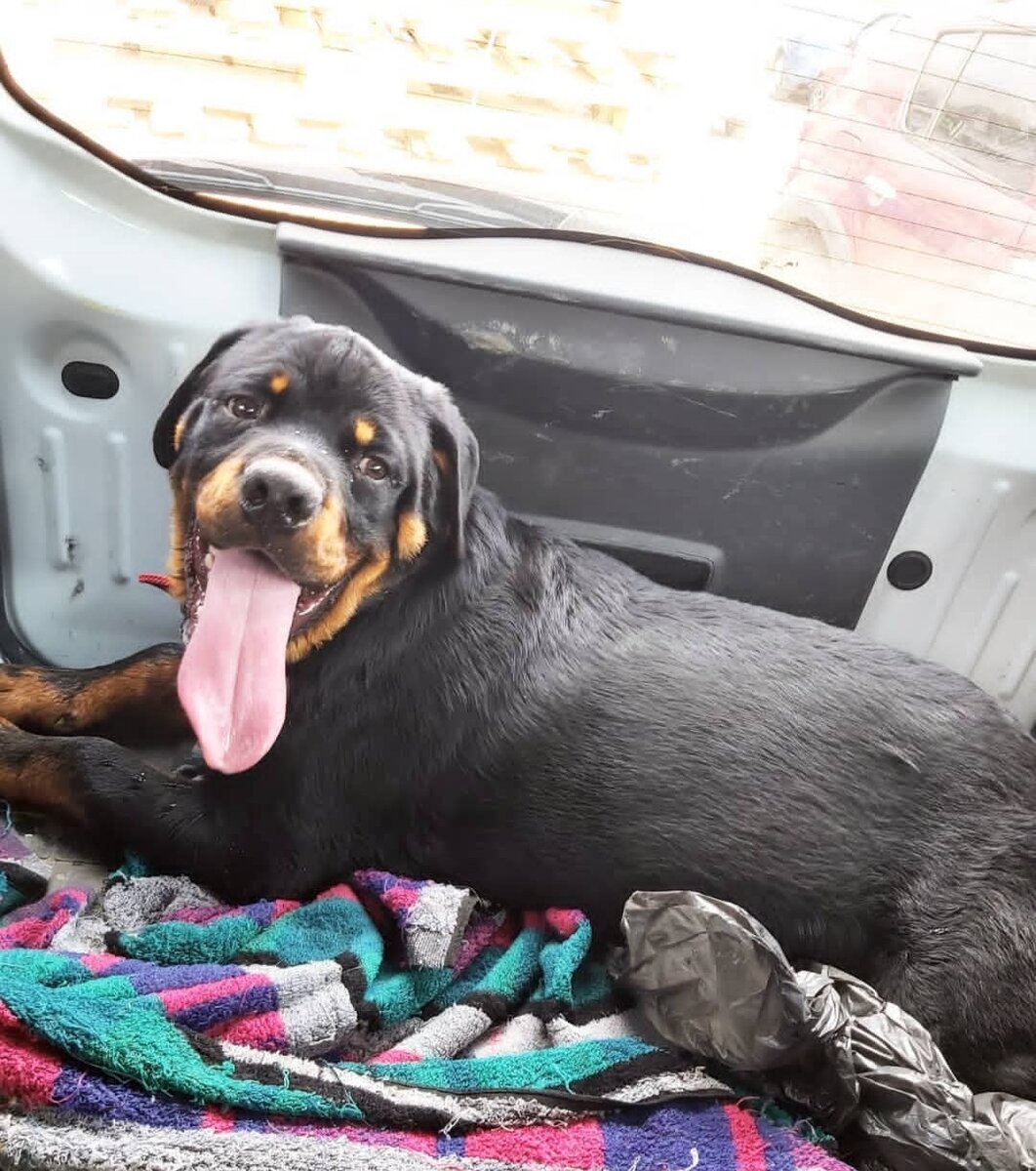 Первая встреча с другом, тут ему 6 месяцев 