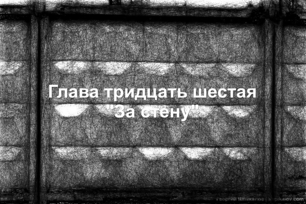 Тридцать шестое. Тридцать шестое