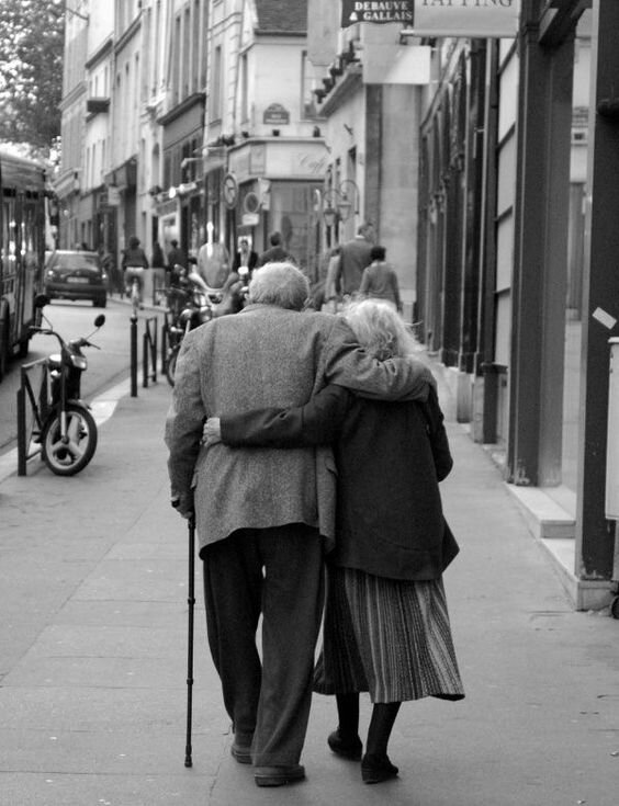 изображение взято в свободном доступе в сети интернет