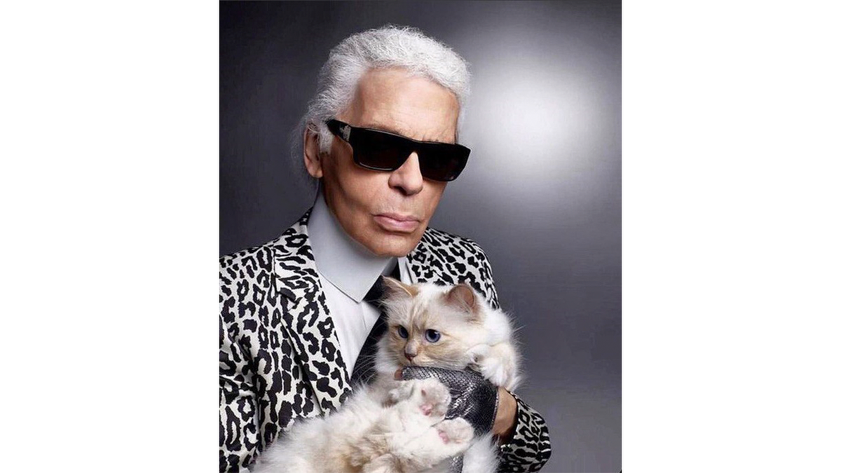 Лагерфельд наследство. Шупетт кошка Лагерфельда. Karl Lagerfeld кошка.