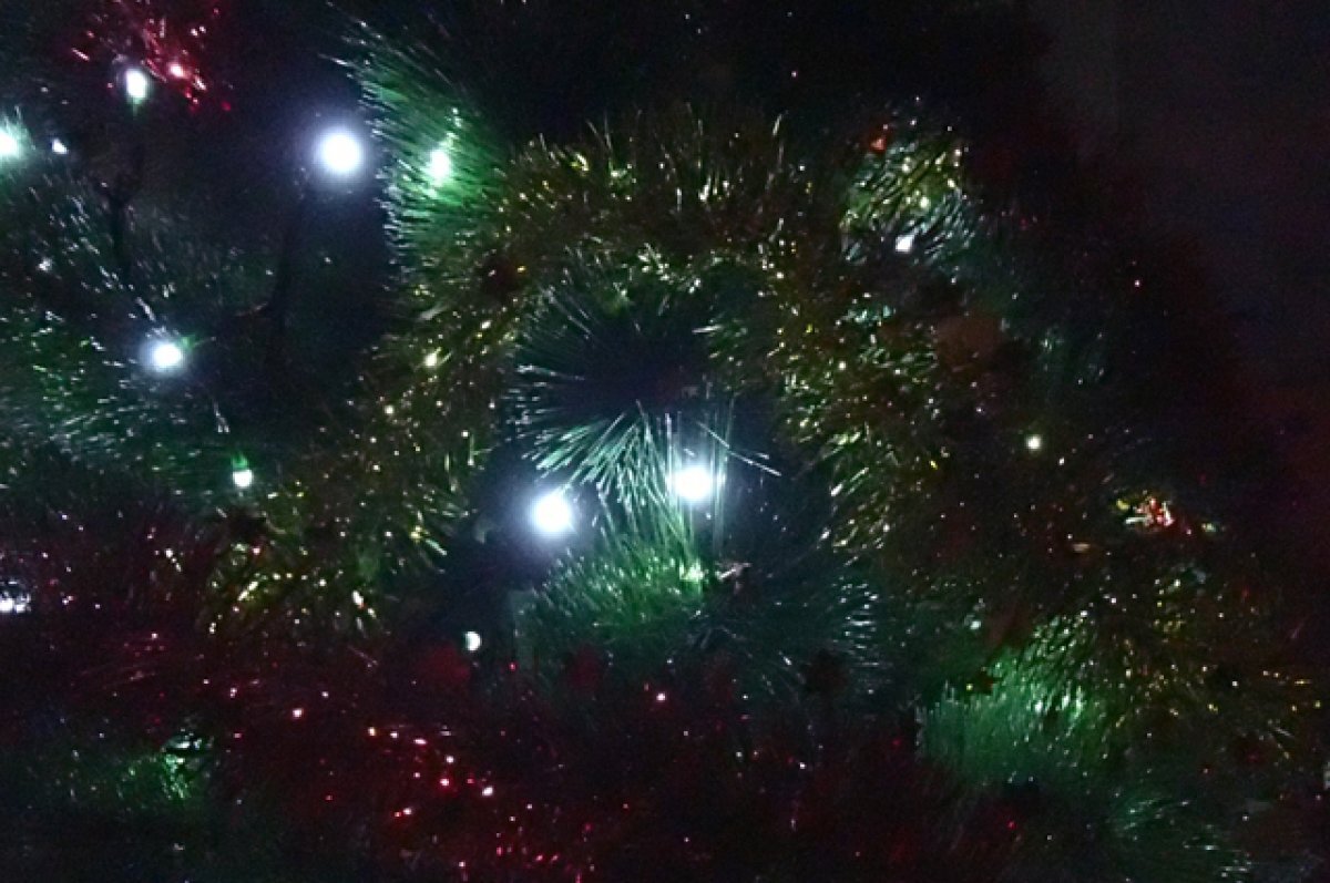    В Новосибирске сигнализация магазинов принимает новогоднюю мишуру за воров