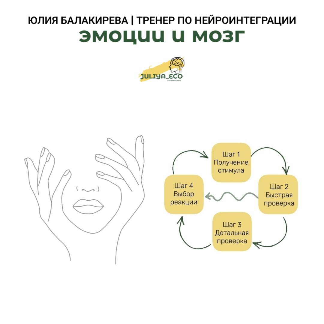 4 шага проверки информации мозгом 