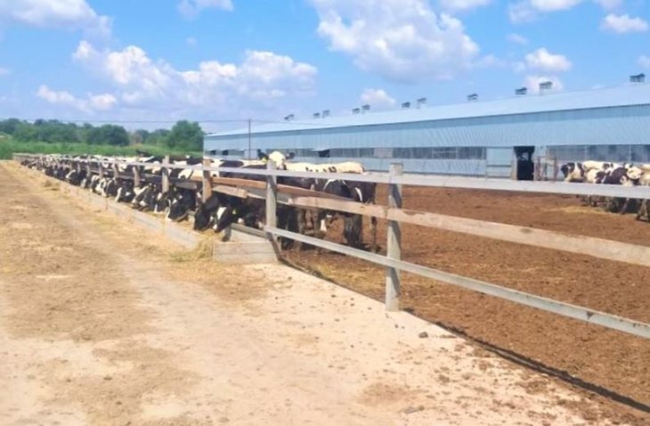    Сельхозпредприятие Тихорецкого района подвело итоги реализации нацпроекта «Производительность труда»