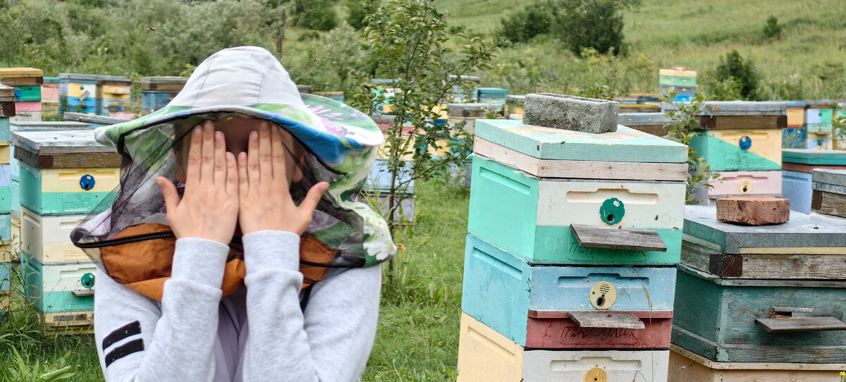 Побывали на алтайской пасеке и даже спали на пчелах. А еще пробовали медовуху - классная!