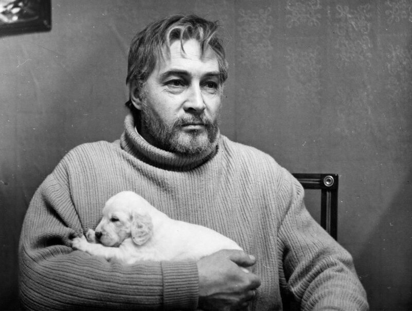 Кадр из фильма "Белый Бим Черное Ухо" // Кинопоиск 