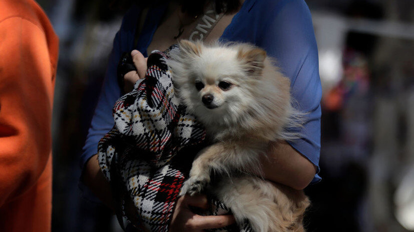   Gettyimages.ru
