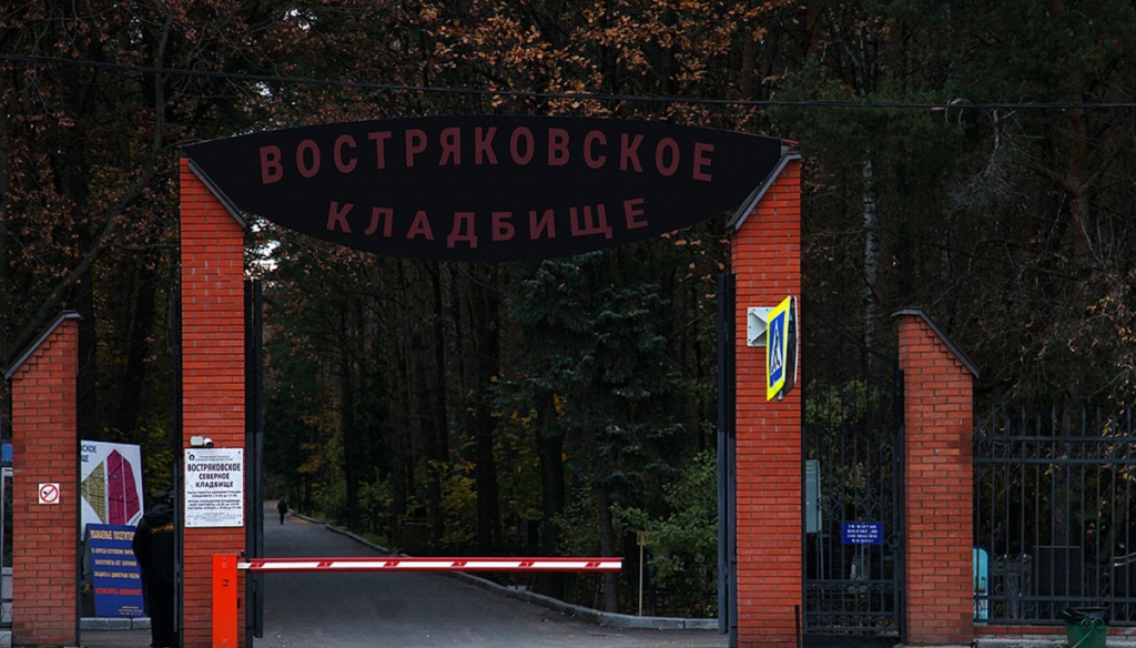 Фотография взята из источника yandex.ru