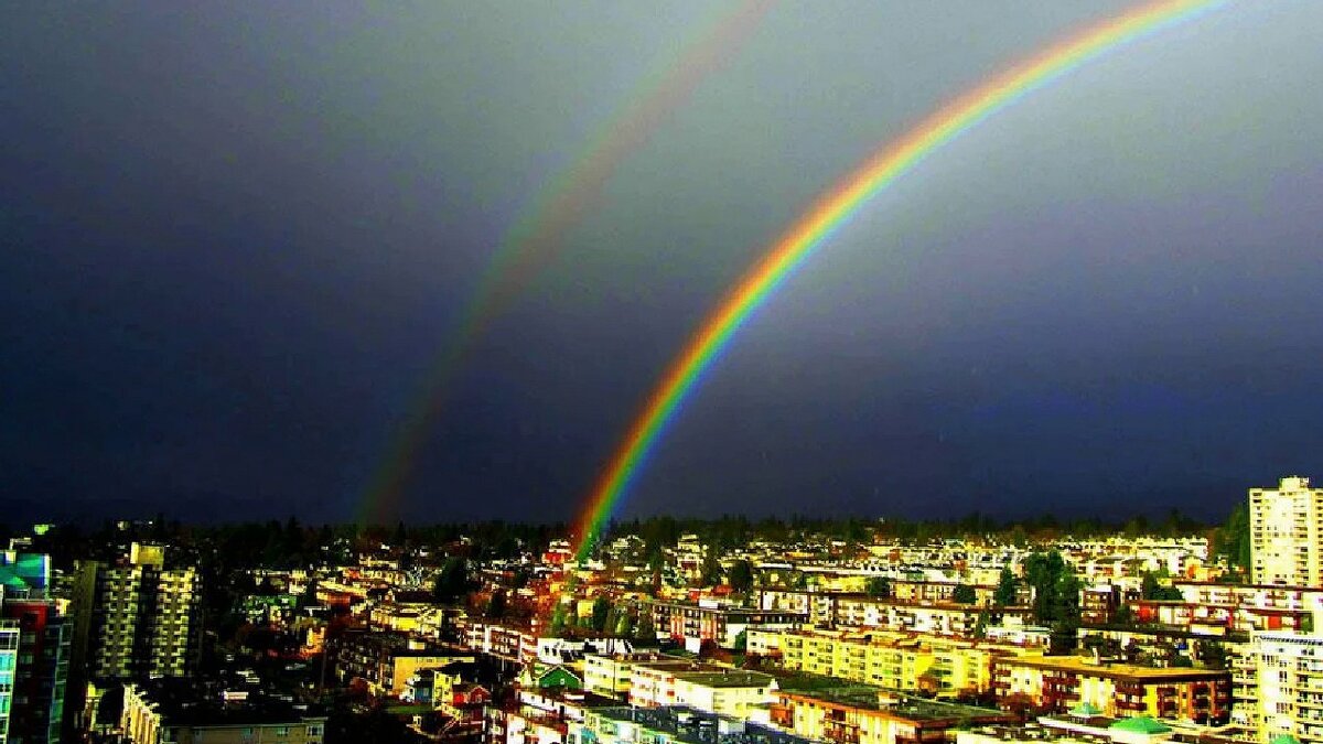 Картинка взята в интернете