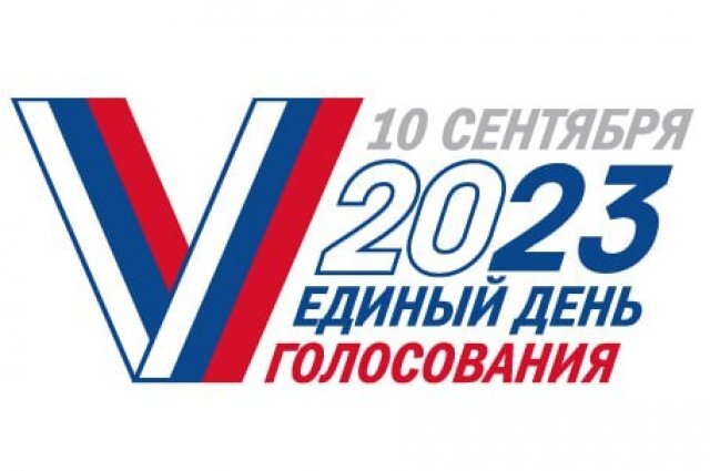    В каких ситуациях 10 сентября можно проголосовать на дому?