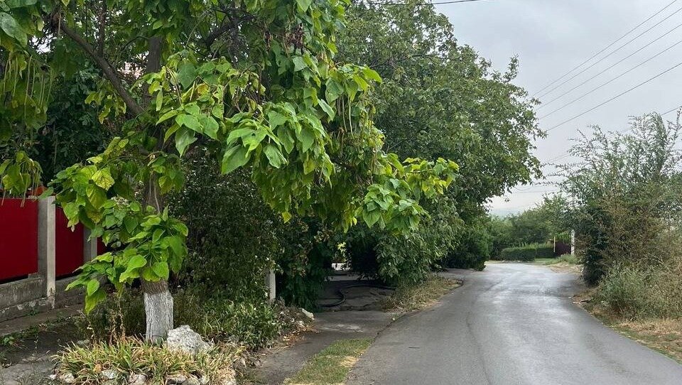     В Ростовской области ищут водителя, который в 02.00 мск сбил 25-летнюю девушку на улице Гришина в Цимлянске, об этом сообщили в донской Госавтоинспекции.