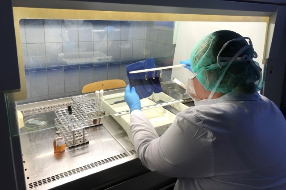    Под Воронежем подтвердилось восемь случаев сибирской язвы