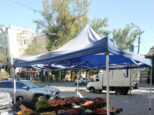     незаконная торговля // фото: rostov-gorod.ru