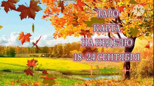 🦉 Таро ✨ Неделя 18- 24 Сентября 🔮