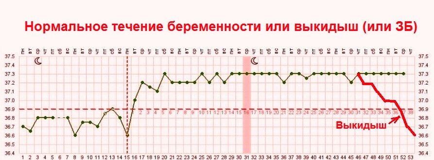 Температура и беременность