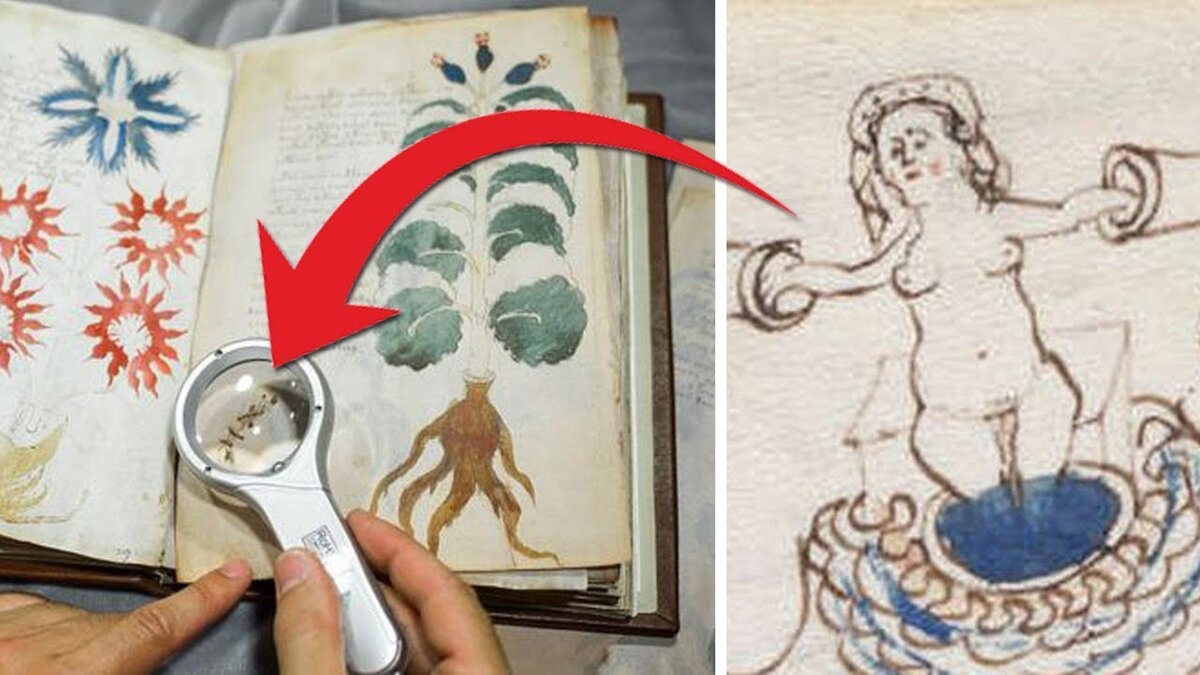 Descifrado el manuscrito voynich