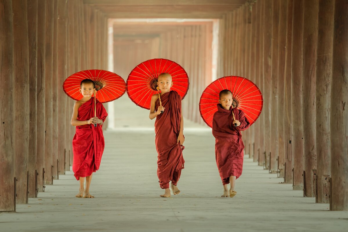 Photo: Adobe Stock