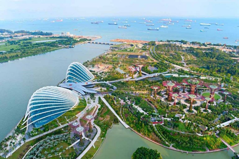 Сингапурский парк с супердеревьями, на которых растут деревья