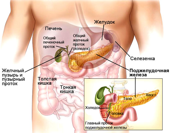 Панкреатит: воспаление поджелудочной железы - симптомы, лечение, диета