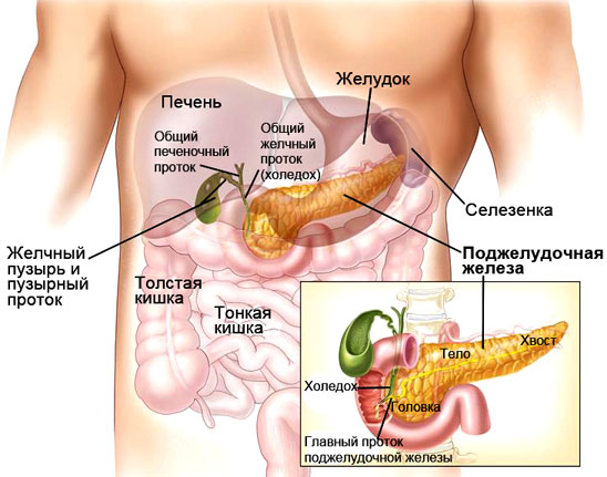 Лечение поджелудочной: лучшие народные средства