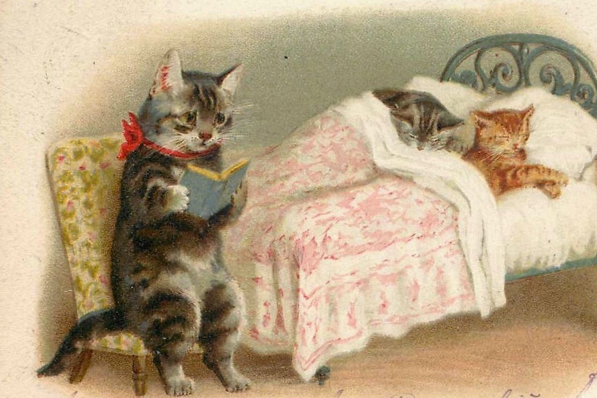 "Зачем я им читаю про орков?"...