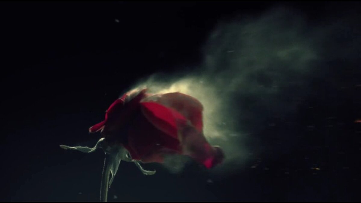 Кадры из заставки сериала "Царство"