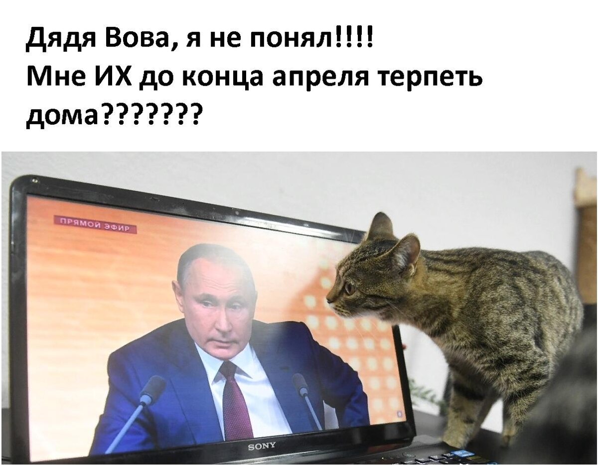 Картинка из интернета )  