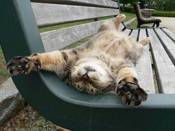 Избегайте общественных мест