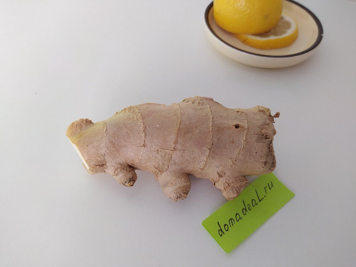 Корень имбиря