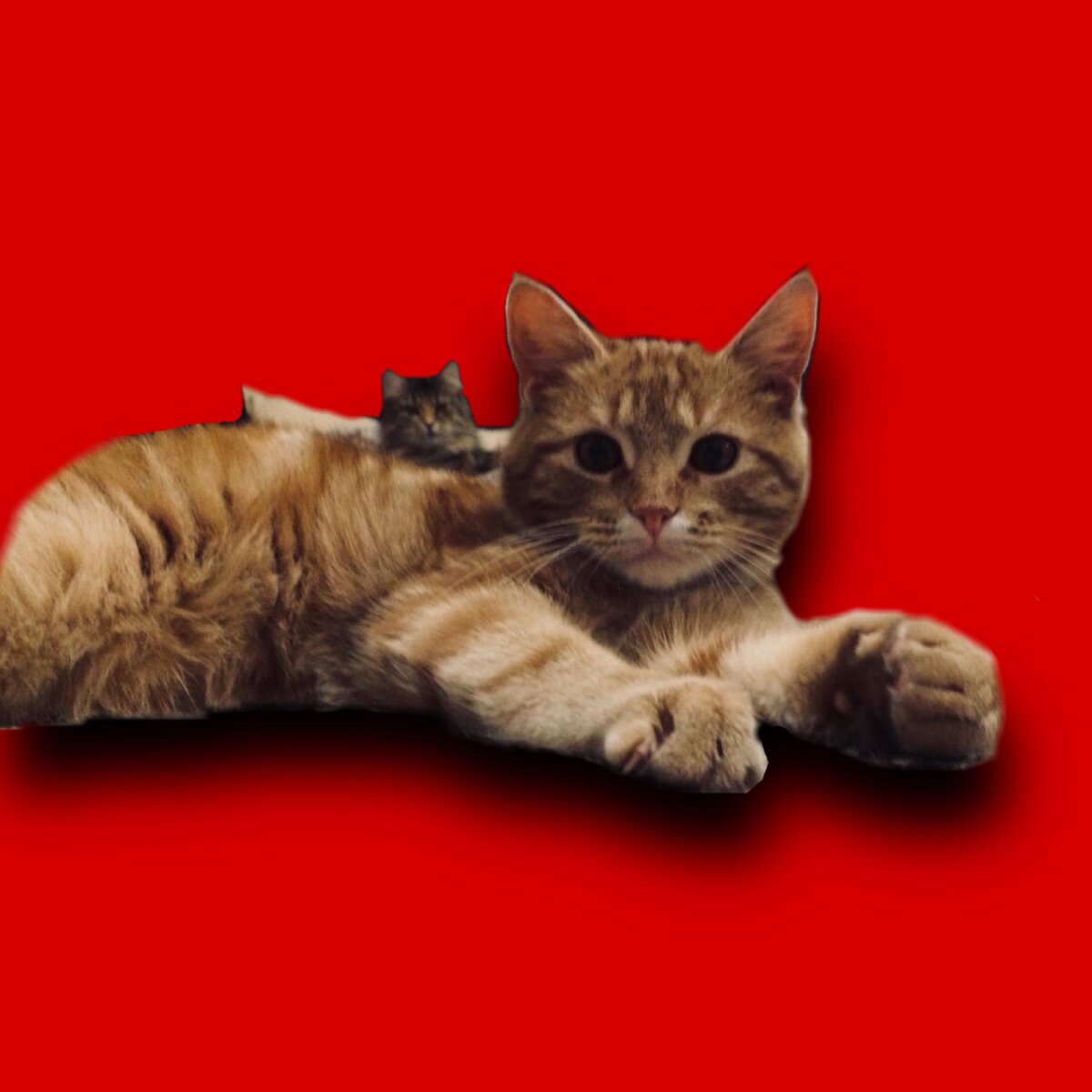 Максик