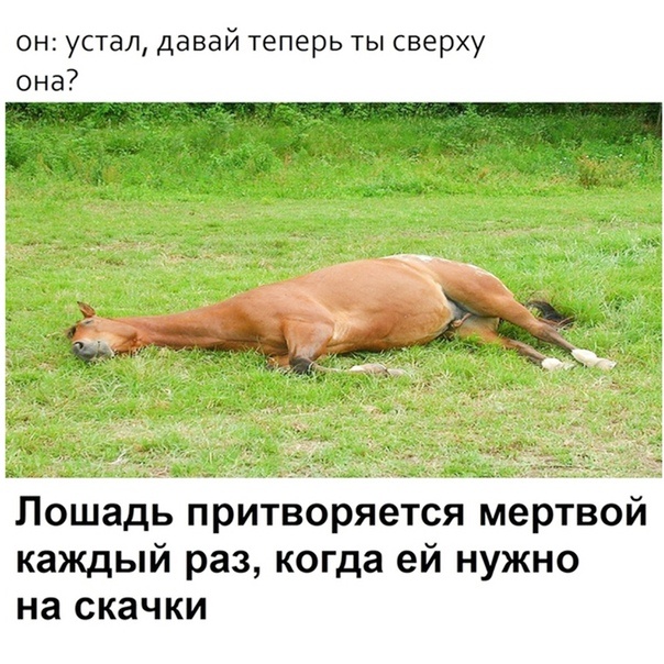 Идеальная любовница.