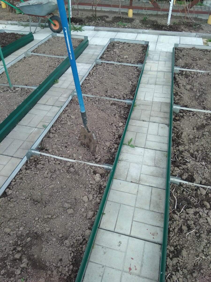 Фотография из личного архива