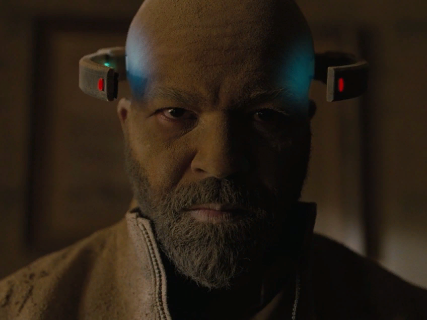 Бернард. Источник cdn.igromania.ru