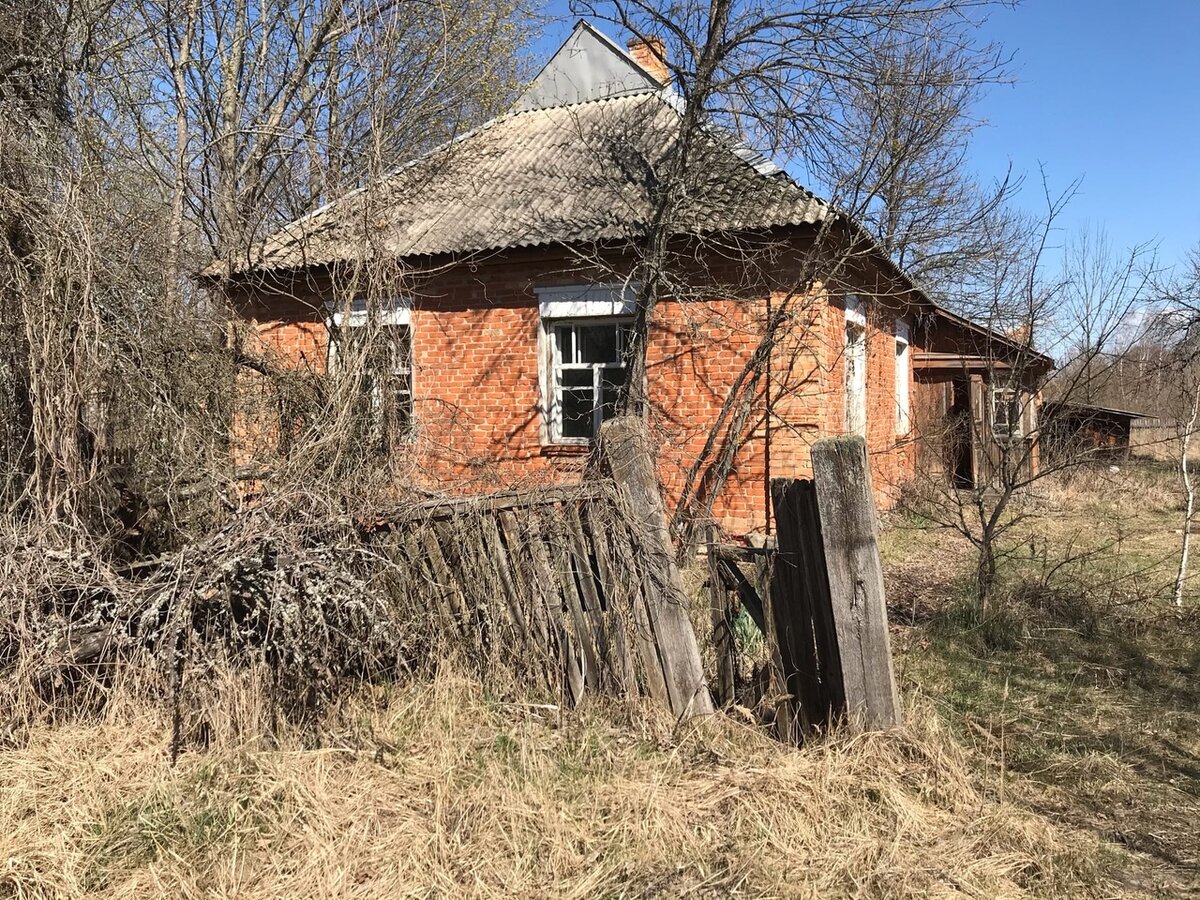 Село в Чернобыле, где недавно жили люди: деревня Лубянка и ее супер сохраны