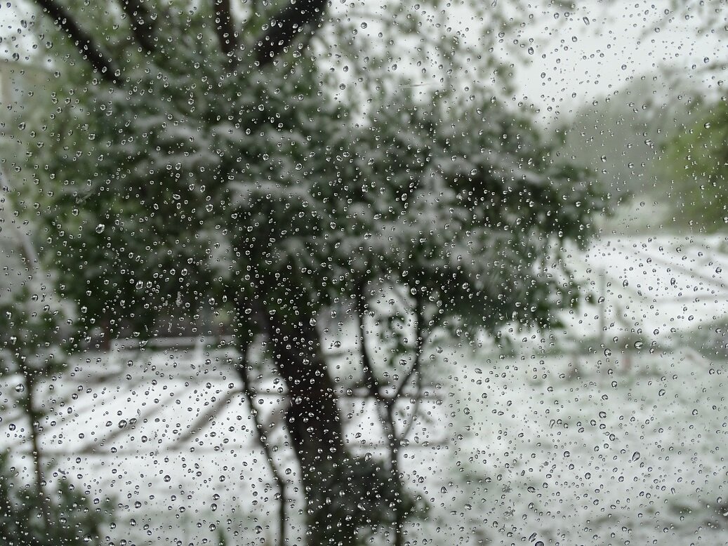 гранки -- дорожки между грядками (диалектное)
