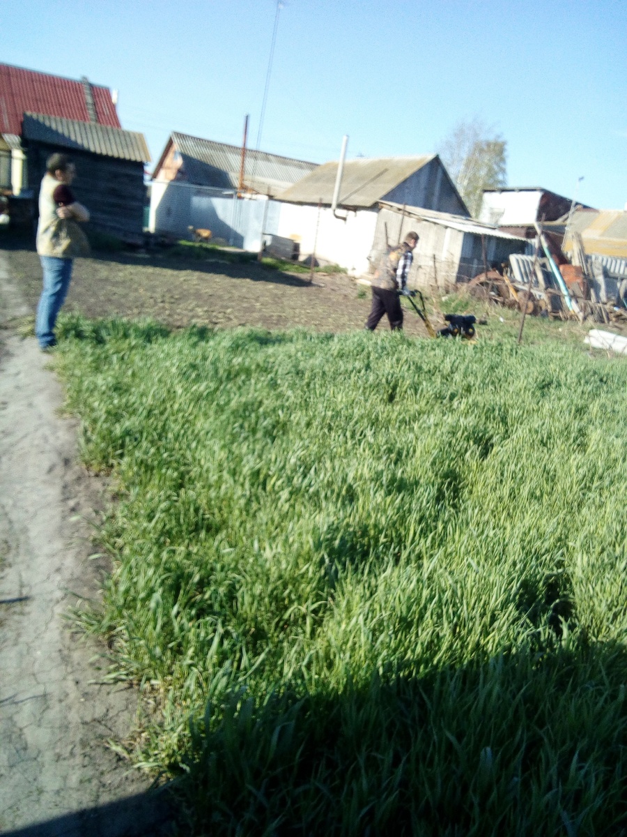 весной перепахиваем